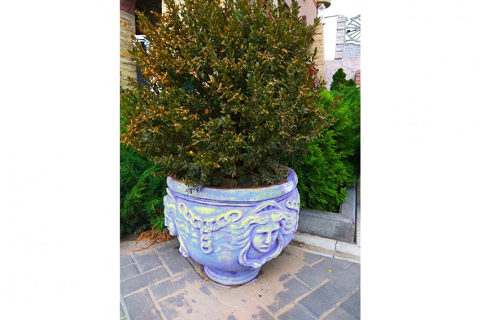 Ваза «Горгона»